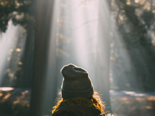 Person standing in morning forest light, symbolising long-term lifestyle habits supporting brain health.