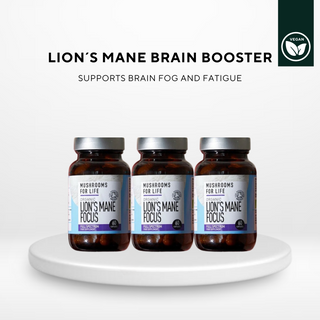 Lion’s Mane Brain Booster