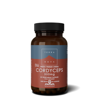 cordyceps-500mg